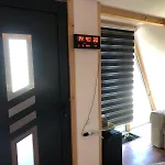 Vikednica Zea
